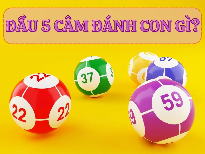 lo-dau-cam-danh-con-gi